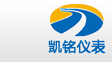 金湖91看片下载免费观看儀表有限公司LOGO